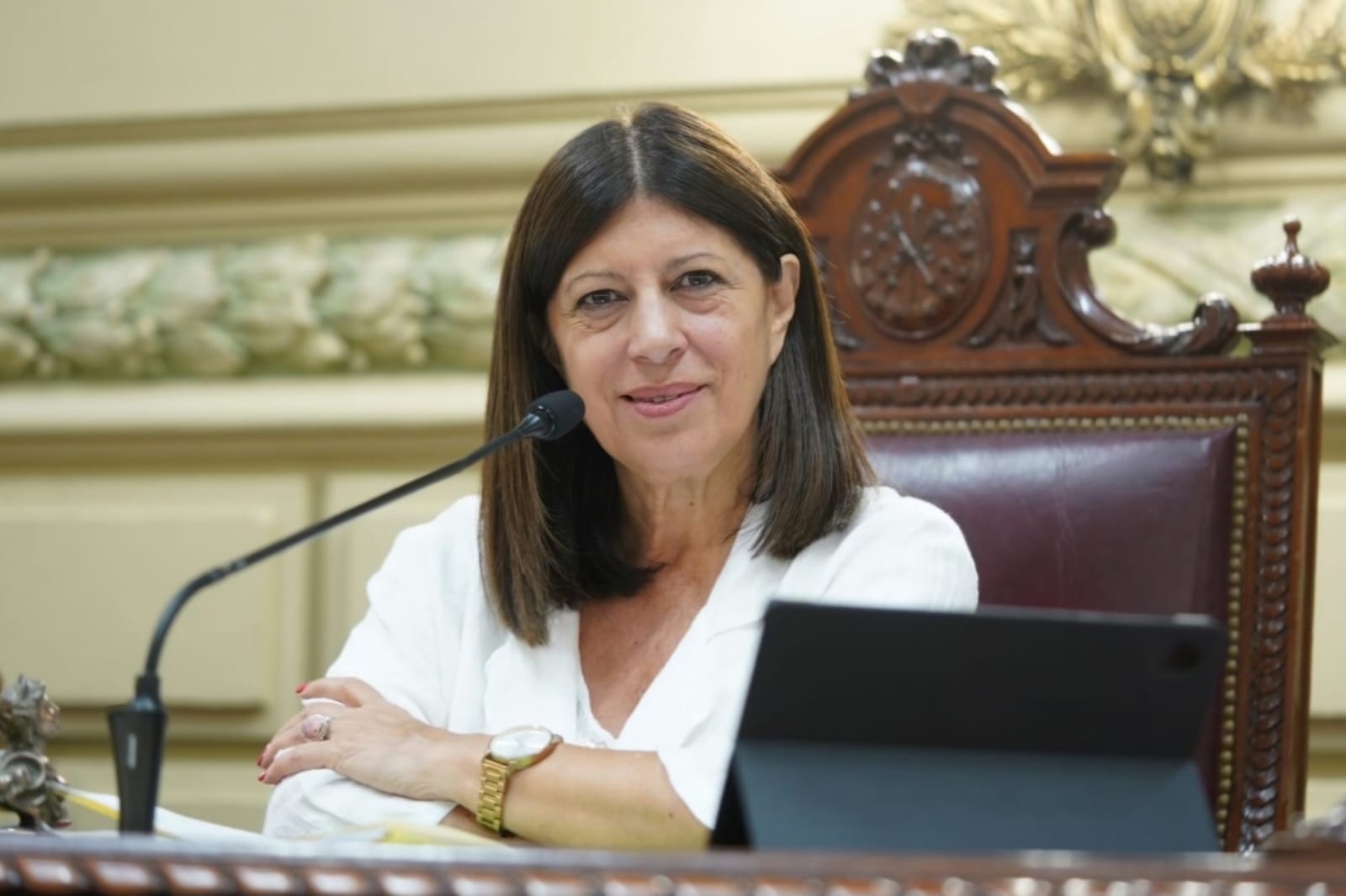 Clara García: "La ley de prosumidores es un avance para transformar la matriz energética"